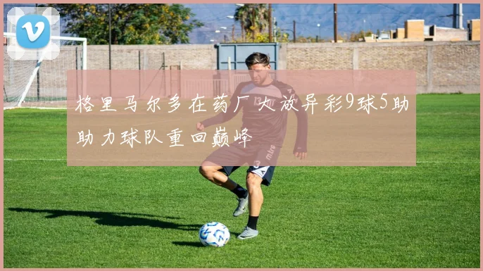 格里马尔多在药厂大放异彩9球5助助力球队重回巅峰