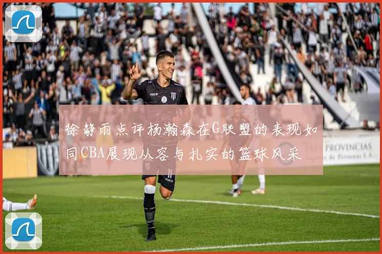 徐静雨点评杨瀚森在G联盟的表现如同CBA展现从容与扎实的篮球风采