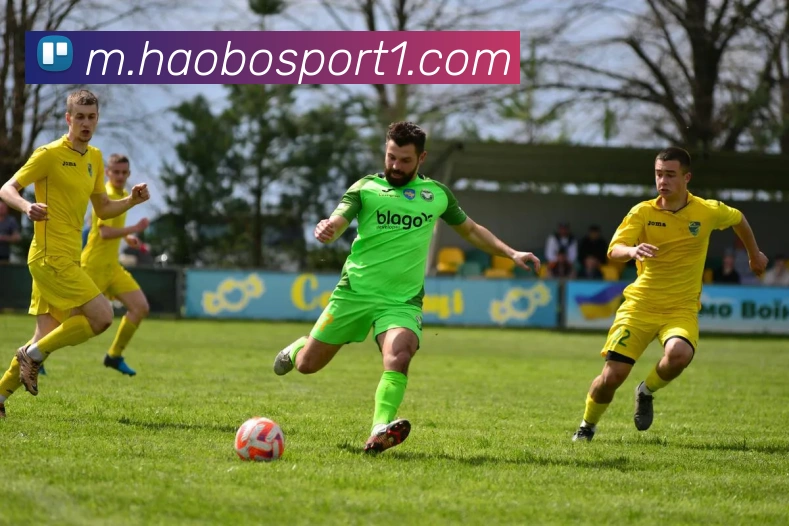 多媒体互动体验